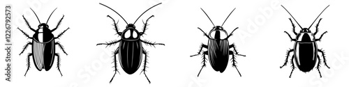 Different species of cockroaches depicted in black and white illustration, showcasing their distinct features