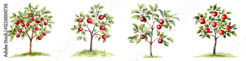 Cute farm and clipart concept. Illustration of four apple trees with red fruit and lush green leaves. on Transparent background.
