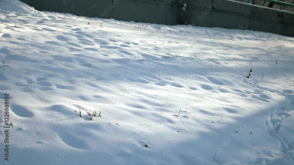 white snow sparkles in the sun, smooth movement. Snow sparkles in the sunlight white snow sparkles in the sun, smooth movement. Snow sparkles in the sunlight