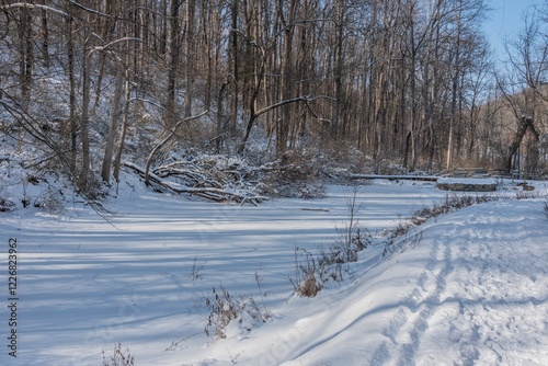 Walking Past the Frozen Pond at Dusk, Nixon Park, York County Pennsylvania photo