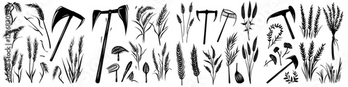 Detailed collection of farming tools and cereal plants in a diverse agricultural setting under clear skies during daylight hours