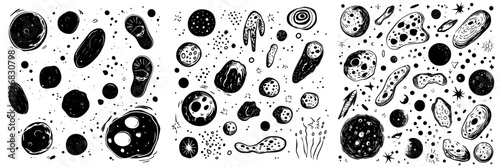 Illustration of various microorganisms and cells depicting biological diversity in a scientific context