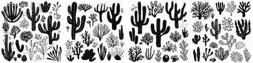 Diverse black and white illustrations of cacti and other desert plants in various shapes and sizes