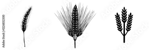 Different stages of wheat growth displayed in a minimalist design highlighting agricultural development