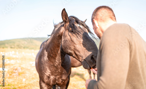 Mann füttert ein wildes Pferd mit eine Karotte photo