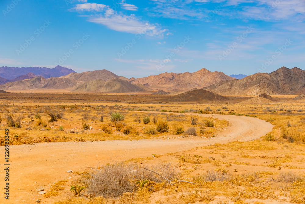Fototapeta premium Arid landscape in the Richtersveld National Park