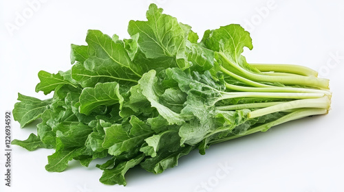 Salads and leaf vegetables banner set. Green lettuce, cabbage, spinach, cress salad, cos lettuce, bok choy, iceberg lettuce, chicory, radicchio, arugula, chard and batavia fresh leaves for food design