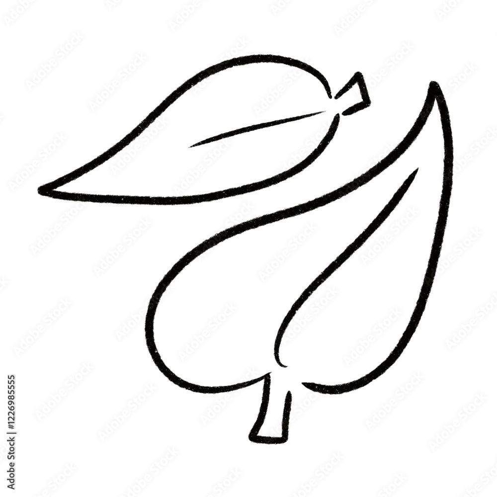 Fototapeta premium leaf from the tree