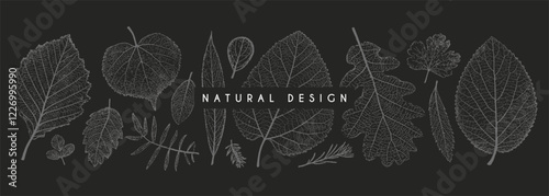 Leaves collection