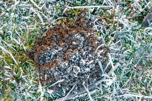 Obraz na płótnie Top-down view of a frozen molehill covered in ice. The textured surface glistens in the cold light, showcasing intricate frost formations and the harsh beauty of winter nature w salonie