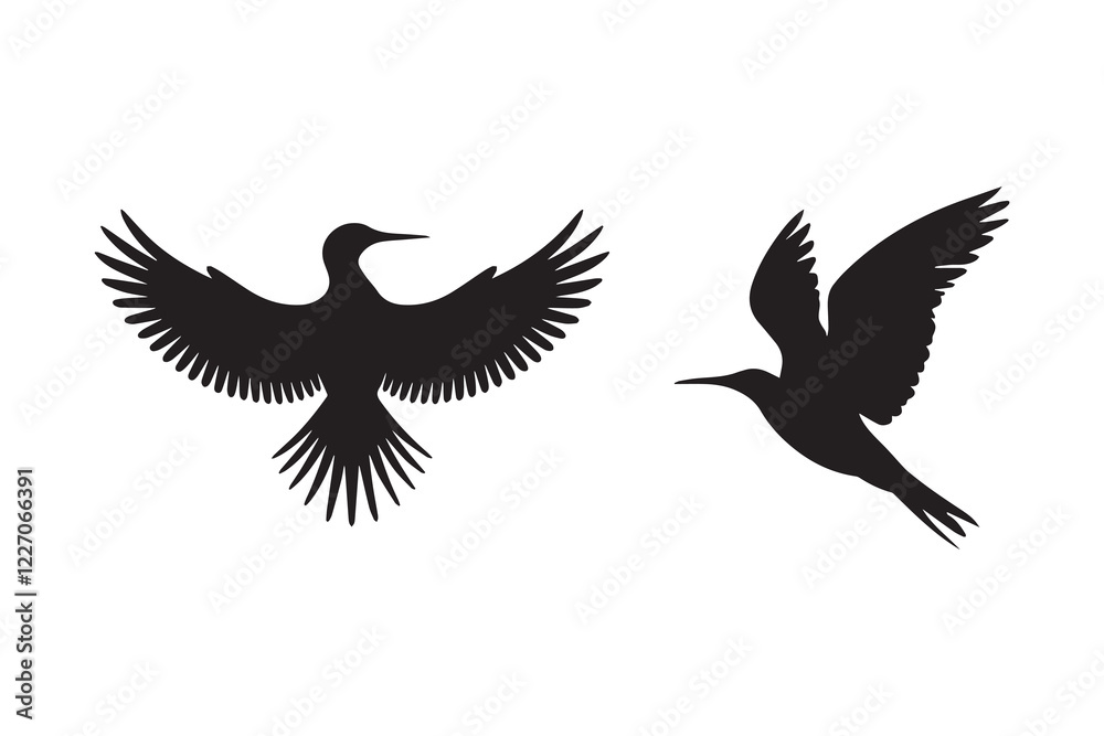 Fototapeta premium Bird silhouette vector with white background 