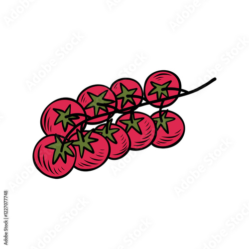 Hand-drawn branch of tomatos. Good for menu, packaging, stickers, advertising. Vector line drawing