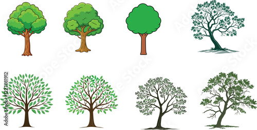 Detailed Tree Illustrations. Vector Drawings of Various Tree Species for Botanical and Ecological Projects.