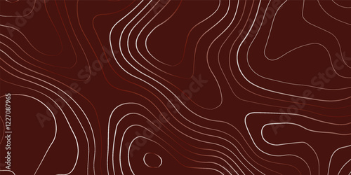 The stylized height of the topographic contour in lines and contours. The concept of a conditional geography scheme and the terrain. Wide size. Vector illustration.
