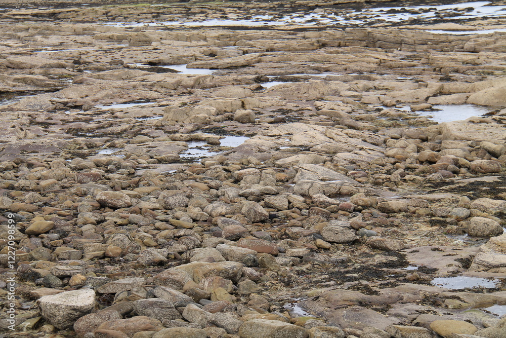 The Rocks and Pools of a Tidal Seaside Coast. The Rocks and Pools of a Tidal Seaside Coast.