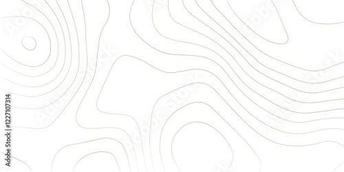 Abstract Topographic Pattern Banner Background, geographic line map with elevation assignments. Modern design background with wavy pattern. Paper texture Imitation of a geographical map shades.