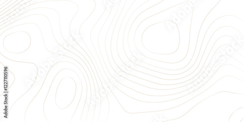 Abstract Topographic Pattern Banner Background, geographic line map with elevation assignments. Modern design background with wavy pattern. Paper texture Imitation of a geographical map shades.