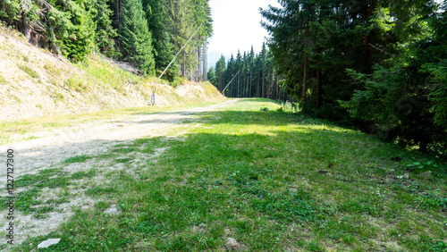 Wallpaper Mural Beautiful natural landscape of forest mountains in summer. forested mountains. Natural landscapes of green forest. Travel, tourists. Ski resort in summer Torontodigital.ca