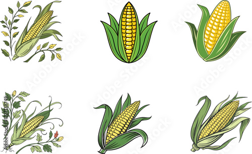 Agriculture themed Corn Illustrations. Collection of Yellow Corn Graphics Representing Harvest, Farming, and Fresh Produce for Design Projects.