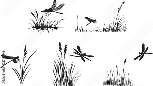Silhouette of a dragonfly hovering over a grass vector silhouette