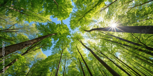  lush green forest canopy seen from below, showcasing towering trees and the bright blue sky, creating a fresh and vibrant nature scene.