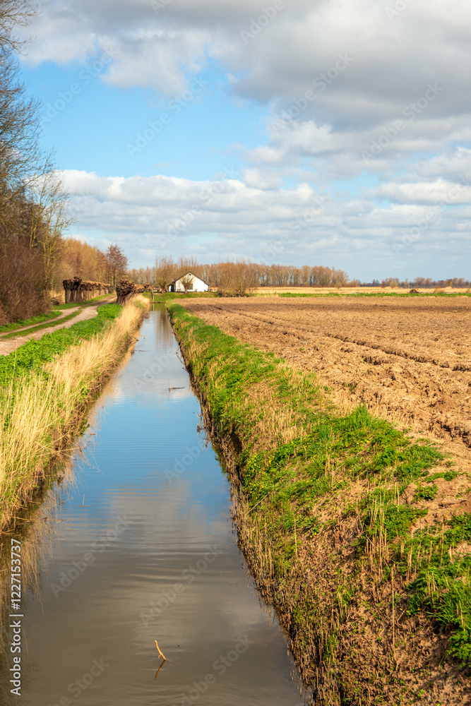Long straight ditch next to a ploughed field on one side and a nature reserve on the other side. The photo was taken on a windless and slightly cloudy day in the Dutch winter season.