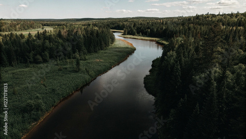 calm and dark river snaking through a dense forest under a cloudy sky, creating a mysterious and serene natural landscape filled with raw beauty and tranquility
