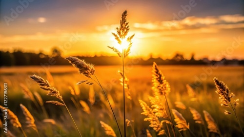 A striking Meadow Grass Silhouette standing tall amidst a vast open field with gentle swaying motion in the breeze, bathed in soft golden light of dawn or dusk , silhouette, swaying photo