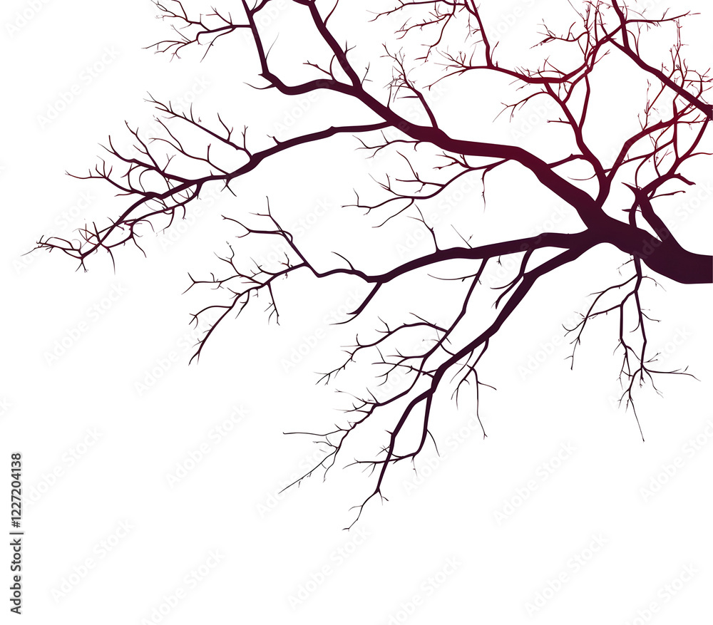 Obraz premium branches of a tree