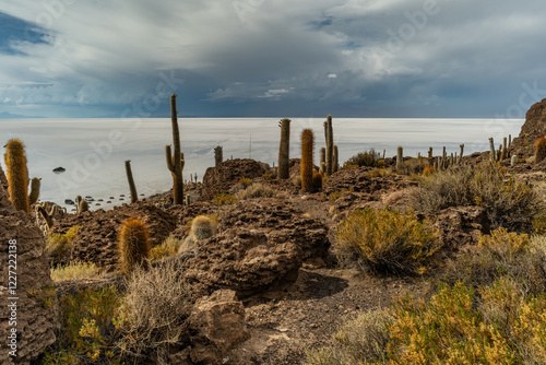 Salar de Uyuni salt plains with large cactuses of island Incahuasi at sunrise time, Andean Altiplano, Bolivia, South America. photo