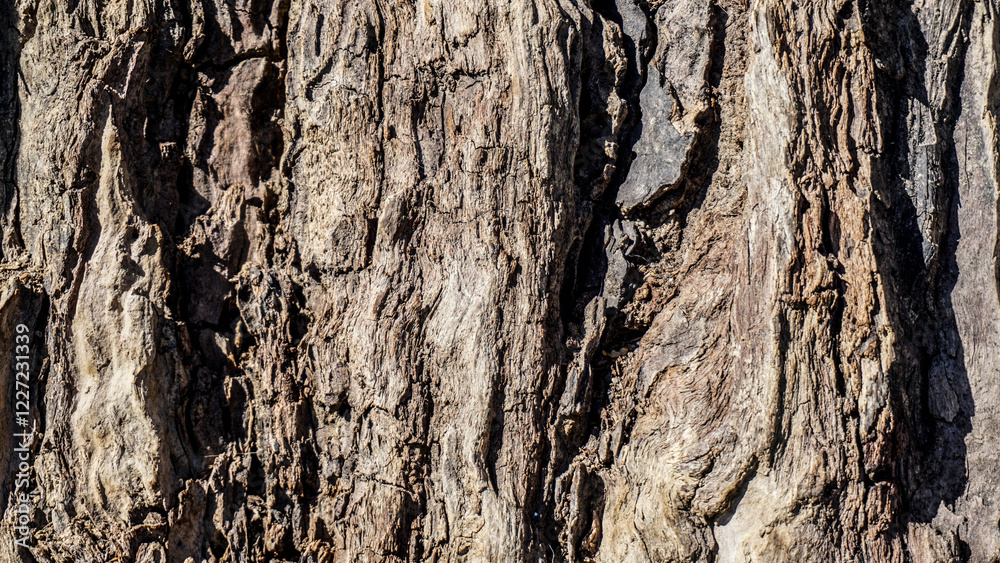 Highly detailed close-up of tree bark, showcasing its rough texture and natural cracks. Highly detailed close-up of tree bark, showcasing its rough texture and natural cracks.