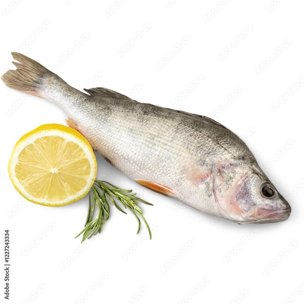Pictures of various fish with the background removed. Pictures of various fish with the background removed.