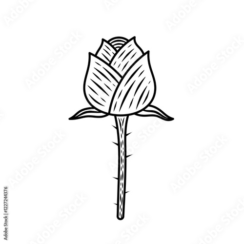 vector of a flower which is a supporting element in the design to beautify the appearance