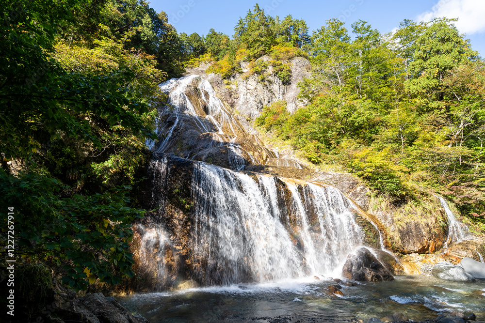 Fototapeta premium 紅葉の白山白川郷ホワイトロード・姥ヶ滝