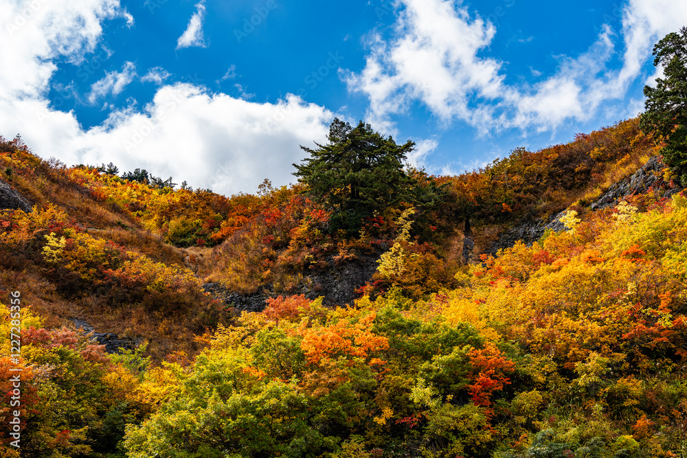 紅葉の白山白川郷ホワイトロード・三方岩駐車場からの眺め 紅葉の白山白川郷ホワイトロード・三方岩駐車場からの眺め