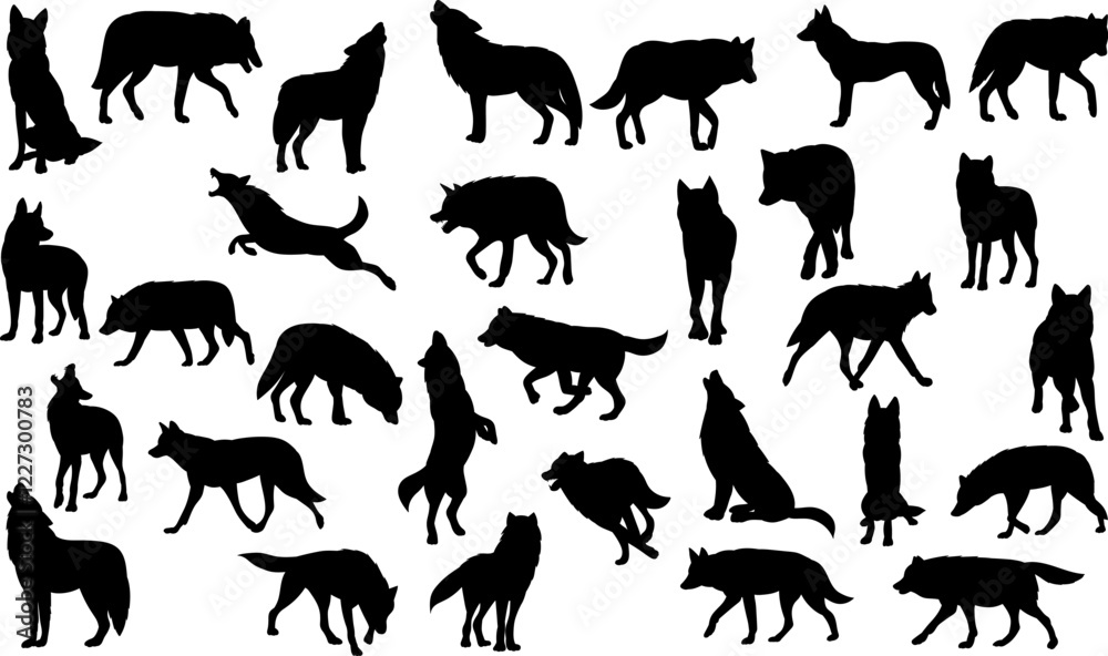 Fototapeta premium wolves in different poses set black silhouette vector