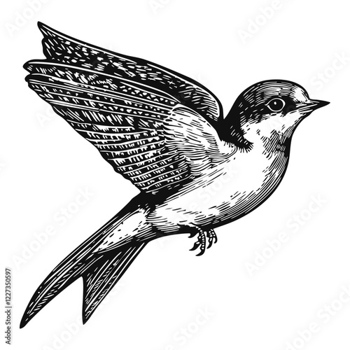 Woodcut illustration of a swallow. Vintage grunge vector design element for artworks, poster, cards, web and collages.