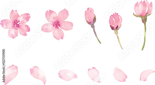 水彩画の桜の花びら　ベクター素材