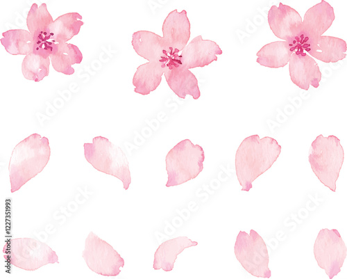 水彩画の桜の花びら　ベクター素材