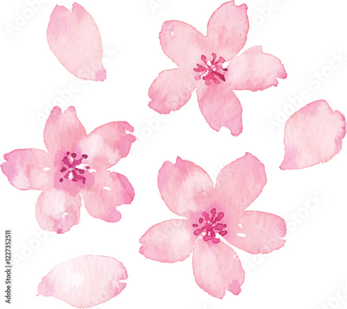 水彩画の桜の花びら　ベクター素材