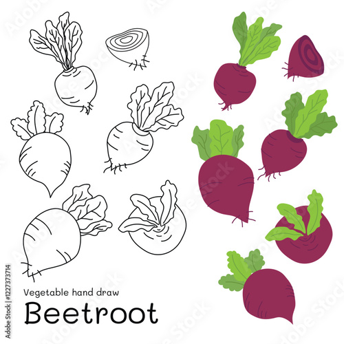 Beetroot doodle vegetable hand drawn outline and colors for kid, Package, labels Design element. Vector illustration
