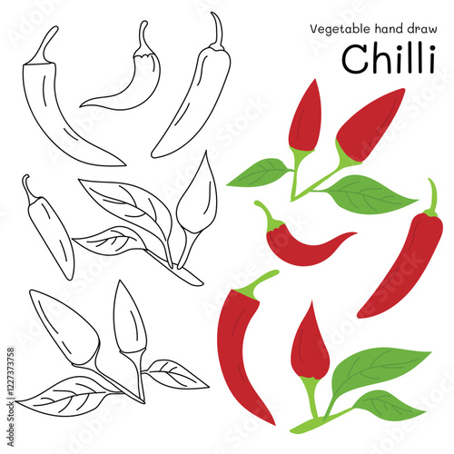 Chilli doodle vegetable hand drawn outline and colors for kid, Package, labels Design element. Vector illustration