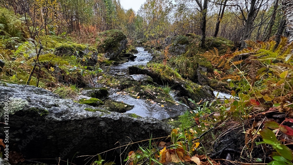 Obraz premium Kleiner Wasserlauf in Norwegen