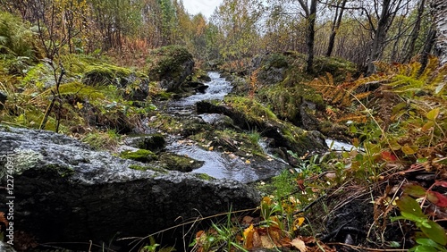 Kleiner Wasserlauf in Norwegen photo