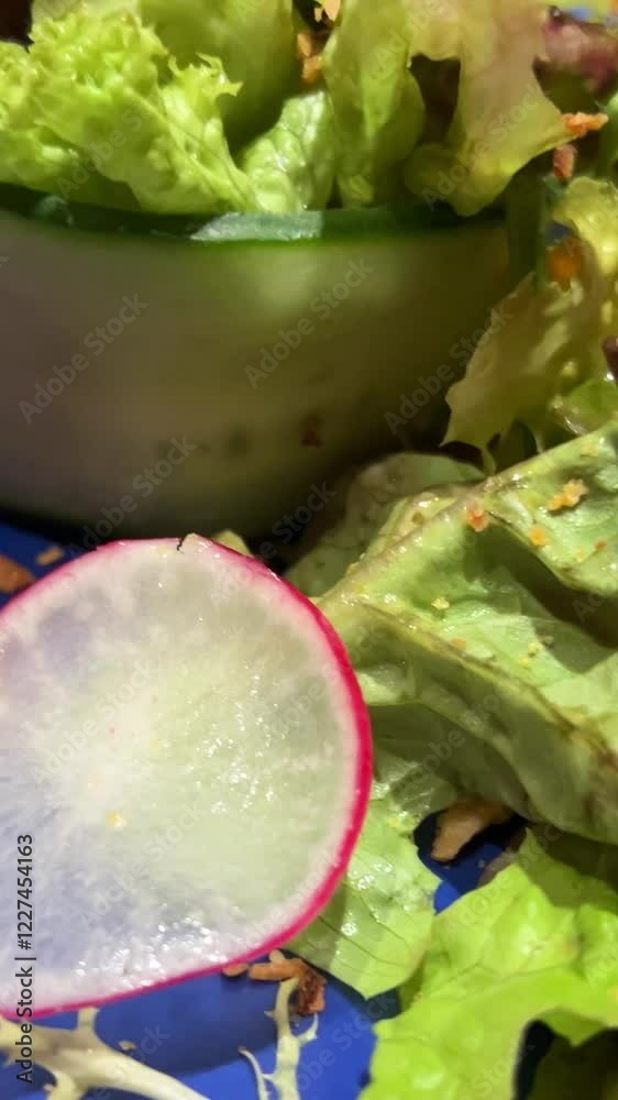 salad with radish Vegetable Fresh Salad Food Healthy Meal Mediterranean Kitchen Vegetarian Fresh Salad. Close up Healthy Lunch, Colorful Food Onion Cucumber Radish. Slow Motion salad with radish Vegetable Fresh Salad Food Healthy Meal Mediterranean Kitchen Vegetarian Fresh Salad. Close up Healthy Lunch, Colorful Food Onion Cucumber Radish. Slow Motion