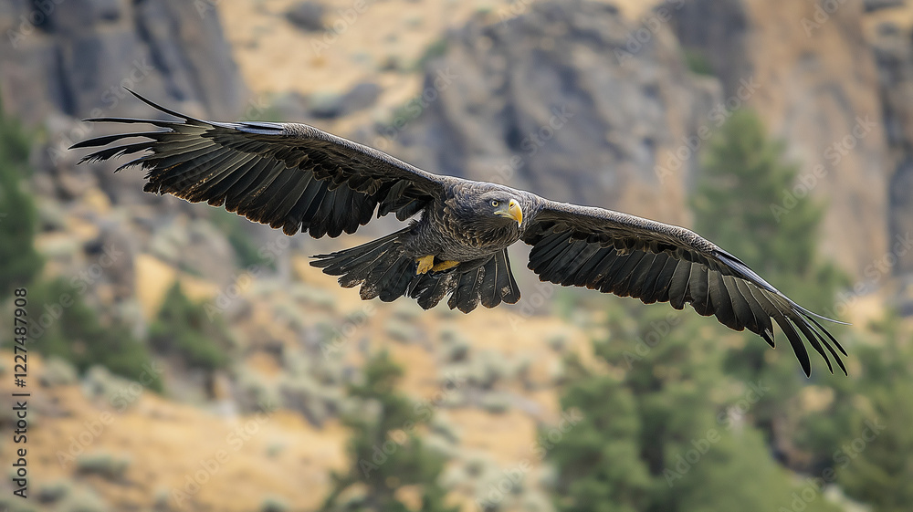 Obraz premium Majestic eagle soaring gracefully over rugged terrain, showcasing its powerful wings and keen gaze. stunning display of nature beauty and strength