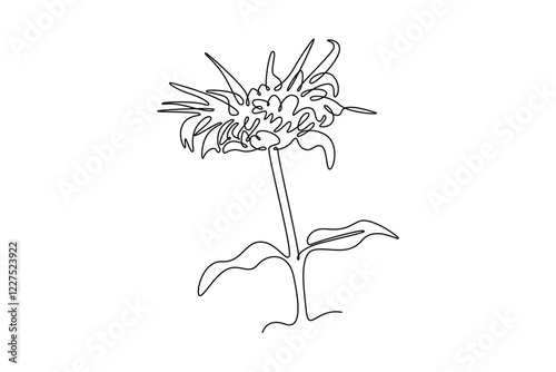 Continuous one line drawing beauty fresh monarda for garden logo. Decorative horsemint oswago tea flower concept for floral invitation card frame. Single line draw design vector graphic illustration