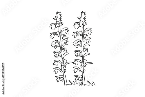 Single continuous line drawing beauty fresh acanthus for home art wall decor poster print. Decorative bear's breeches flower for greeting card. Dynamic one line draw graphic design vector illustration