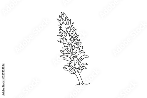 Single continuous line drawing beauty fresh bear breeches for garden logo. Decorative acanthus flower concept for floral wedding invitation card frame. One line draw graphic design vector illustration