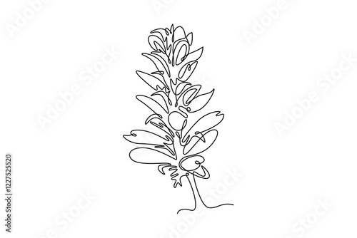 Single continuous line drawing beauty fresh acanthus for home art wall decor poster print. Decorative bear's breeches flower concept for greeting card. One line draw graphic design vector illustration